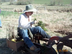 Planting Crew